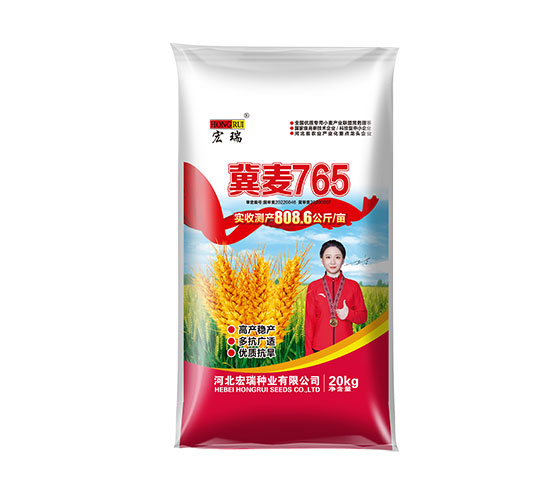 冀麦765 A