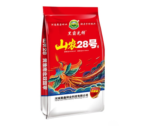 黑霸先锋-山农28小麦种子