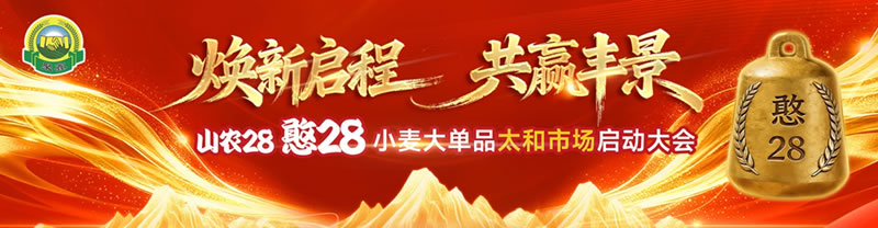 久邦传媒精锐出征安徽太和 “爆破式”赋能助力山农28强势开局
