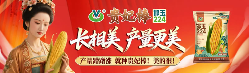 策划有温度，合作有力量｜久邦传媒携手华丰种业  共赢启新程