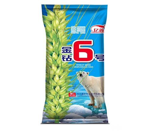 金钻6号