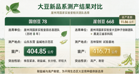 种业行业24小时动态简报｜2026年10月11日
